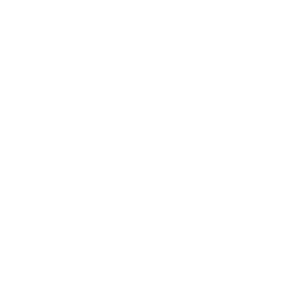 Website design and programming